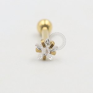 PVD75 Microbell Reto Estrela CZ Aço PVD Gold