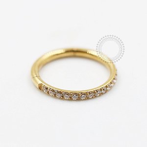 PVD90 Segmento Cravejado 1.0mm Aço PVD Gold