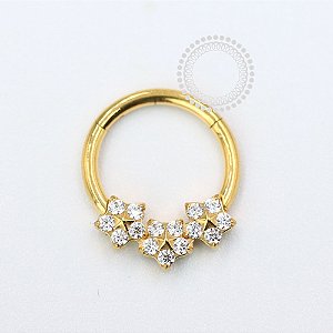 TN1069 Segmento Frontal 8mm Flores CZ Titânio PVD Gold