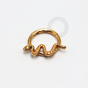 TN1139 Segmento Frontal 8mm Cobra Titânio PVD Gold