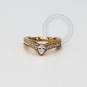 TN1173 Segmento Cravejado Gota Central Titânio PVD Gold