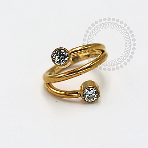 TN1202 Segmento 8mm Duas Pontas CZ Titânio PVD Gold