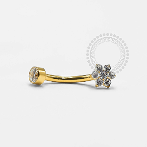 TN1223 Navel Flor CZ Titânio PVD Gold