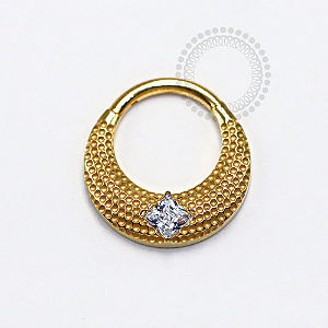 TN1245 Segmento Texturizado CZ Frontal Titânio PVD Gold