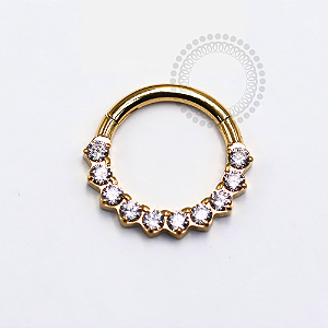 TN1247 Segmento Frontal 8mm 10 CZ Titânio PVD Gold