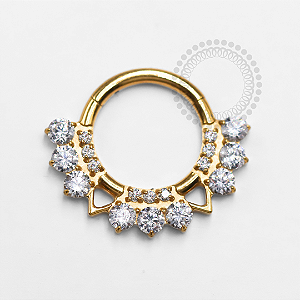 TN1311 Segmento Frontal 8mm 9 CZ Triângulos  Titânio PVD Gold