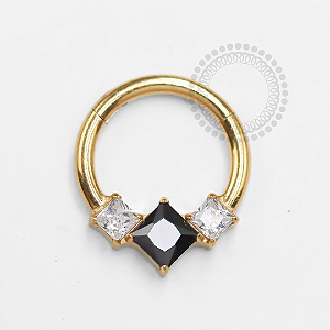 TN1313 Segmento Frontal 8mm Cristal Black Titânio PVD Gold