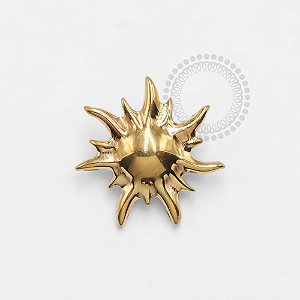 TN1327 Topo Sol Liso Titânio PVD Gold