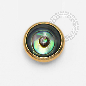 TN1334 Microdermal Pedra Abalone Titânio PVD Gold