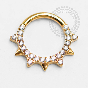 TN1357 Segmento Frontal 8mm CZ Spikes Titânio PVD Gold