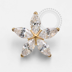 TN1362 Topo Flor 5 Pétalas Titânio PVD Gold