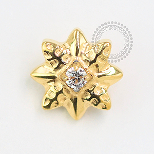 TN1482 Topo Estrela Polar Titânio PVD Gold