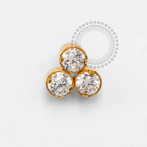 TN1543 Topo Trinity Circular CZ Titânio PVD Gold