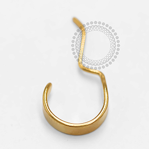 TN1550 Argola Exótica Labial 10mm Titânio PVD Gold