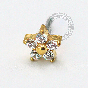TN1578 Topo Mini Flor Push Pin Titânio PVD Gold