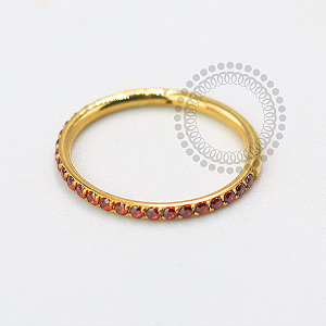 TN1617 Segmento Cravejado CZ Garnet Titânio PVD Gold