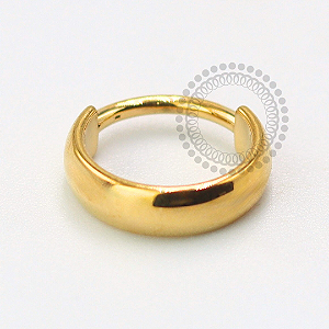 TN1618 Segmento Abaulado Titânio PVD Gold