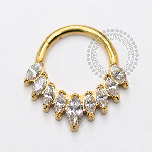 TN1647 Segmento Frontal 9 CZ Navetes Titanio PVD Gold