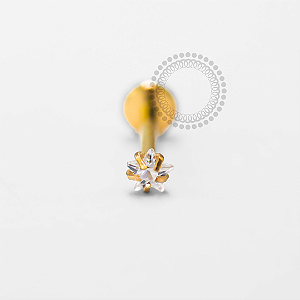 TN1673 Labret Estrela CZ Titânio PVD Gold