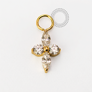 TN1691 Pingente Trevo Cristal Titânio PVD Gold