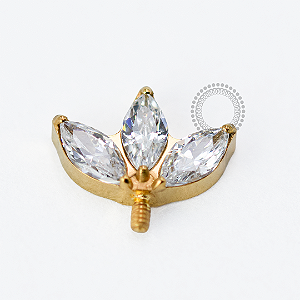 TN1720 Topo Vertical Helix Navetes CZ Titânio PVD Gold