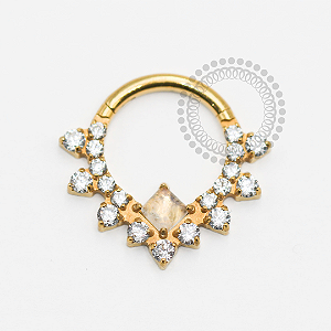 TN1771 Segmento Frontal 8mm CZ 1 Pedra Moon Titânio PVD Gold