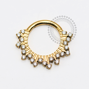 TN1772 Segmento 8mm Raios CZ Titânio PVD Gold