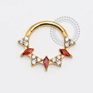 TN1773 Segmento Frontal 8mm CZ Garnet e Cristal Titânio PVD Gold