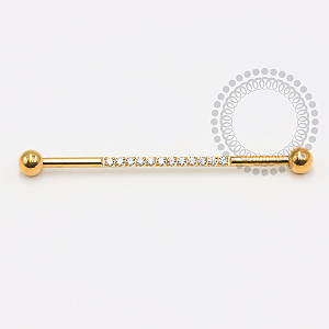 TN1780 Transversal Cravejado Titânio PVD Gold