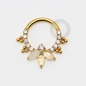 TN1789 Segmento Frontal 8mm Pétalas Moon e CZ Titânio PVD Gold