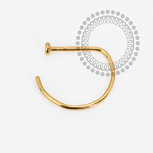 TN221 D Ring Titânio PVD Gold