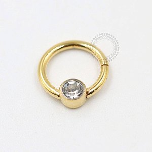 TN295 Segmento Frontal 8mm CZ Flat Titânio PVD Gold
