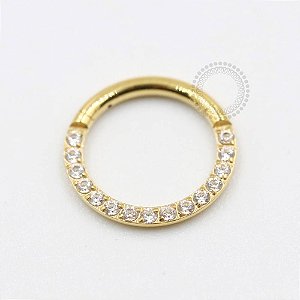 TN301 Segmento Frontal Cravejado Titânio PVD Gold