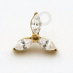 TN720 Topo Três Pétalas CZ Titânio PVD Gold