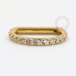 TN74 Segmento CZ Haste Reta Titânio PVD Gold