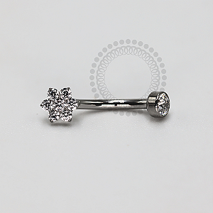 TN1181 Navel  Flor 6 Pétalas Titânio ASTM F-136