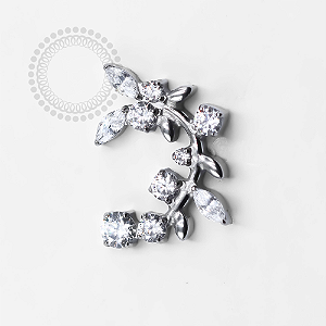 TN1229 Topo Cluster Curvado Zirconias  Titânio ASTM F-136