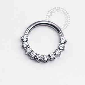 TN1246 Segmento 10 Zirconias Frontal Titânio ASTM F136