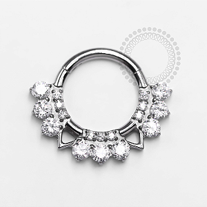 TN1310 Segmento 8mm Frontal 9 CZ  Triângulos Titânio ASTM F136