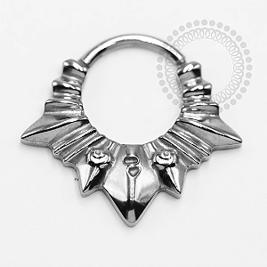 TN1349 Segmento Frontal Raios de Metal Titânio ASTM F-136