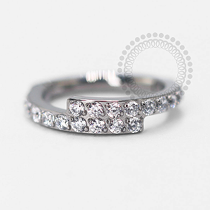 TN1399 Segmento Cravejado Cruzado Titânio ASTM F-136