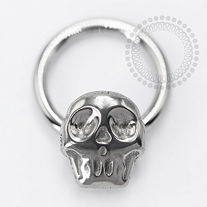 TN1410 Segmento  Caveira Frontal Titânio ASTM F-136