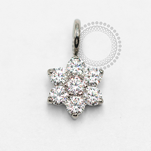 TN1547 Pingente Flor CZ Titânio ASTM F-136