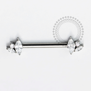 TN1653 Nipple 2 Navetes Push Pin Unilateral CZ Titanio ASTM F136