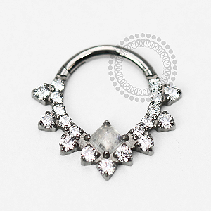 TN1743 Segmento Encanto Lunar 1 Pedra Titânio ASTM F-136