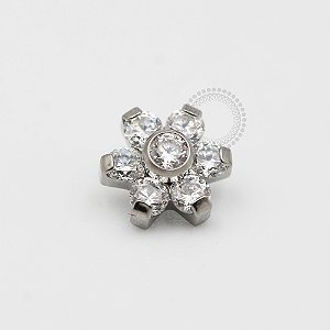 TN193 Topo Flor Zirconias Titânio ASTM F-136