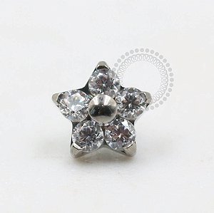 TN294 Topo Micro Flor CZ Titânio ASTM F136