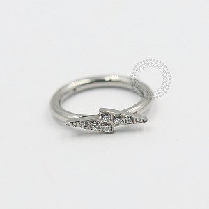 TN546 Segmento Raio CZ 8mm Titânio ASTM F136