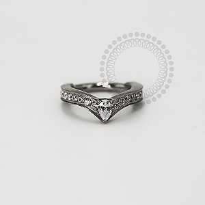 TN1172 Segmento Cravejado Gota Central Titânio