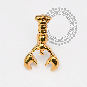TN2049 Topo Lagosta Push Pin Titânio PVD GOLD
